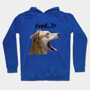 dog Hoodie